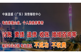 日土为什么选择专业追讨公司来处理您的债务纠纷？